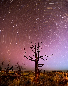 Star Trail